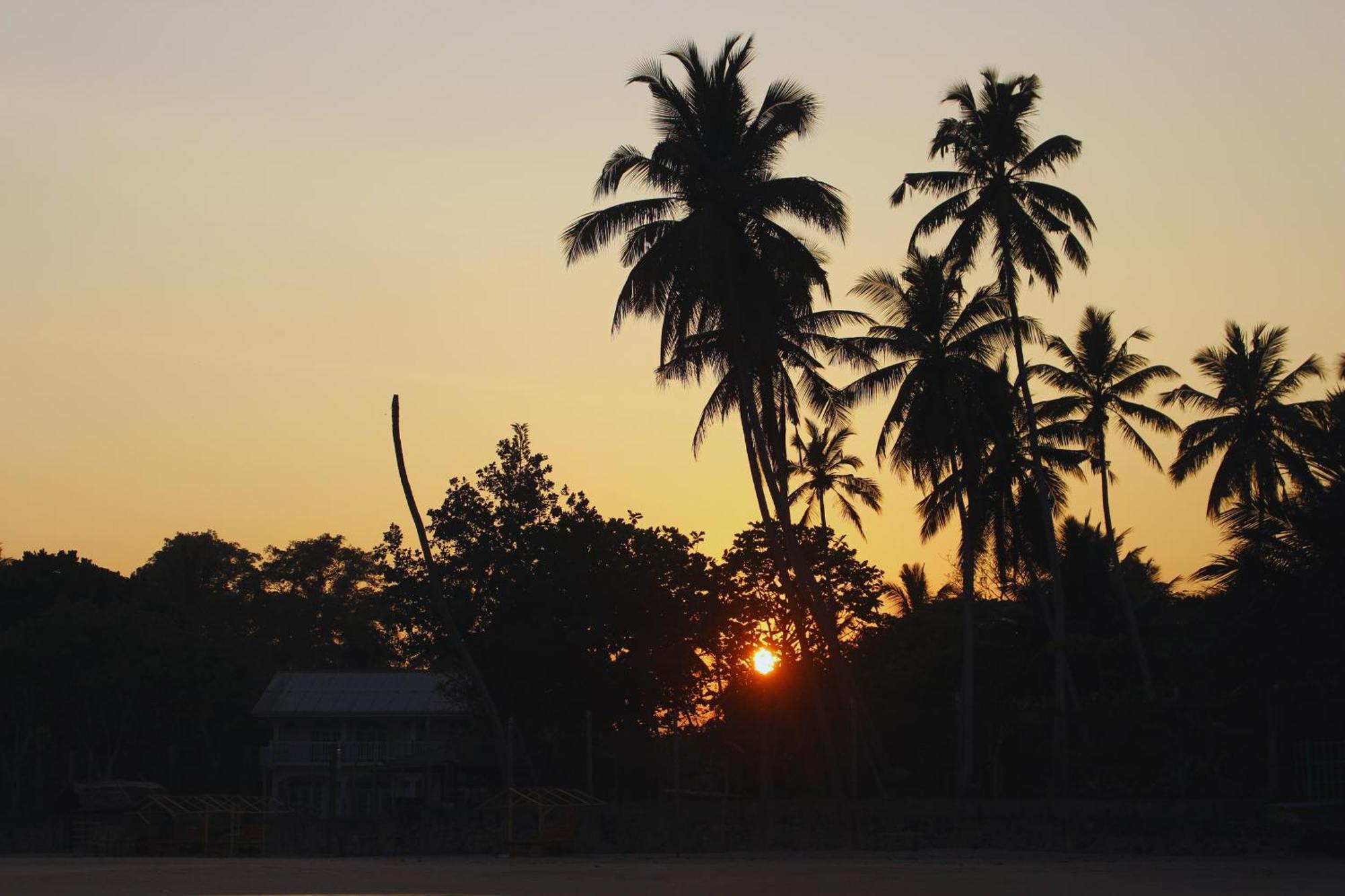 Calma - Surf, Yoga & Coffee On A Private Beach Dikwella Exterior foto