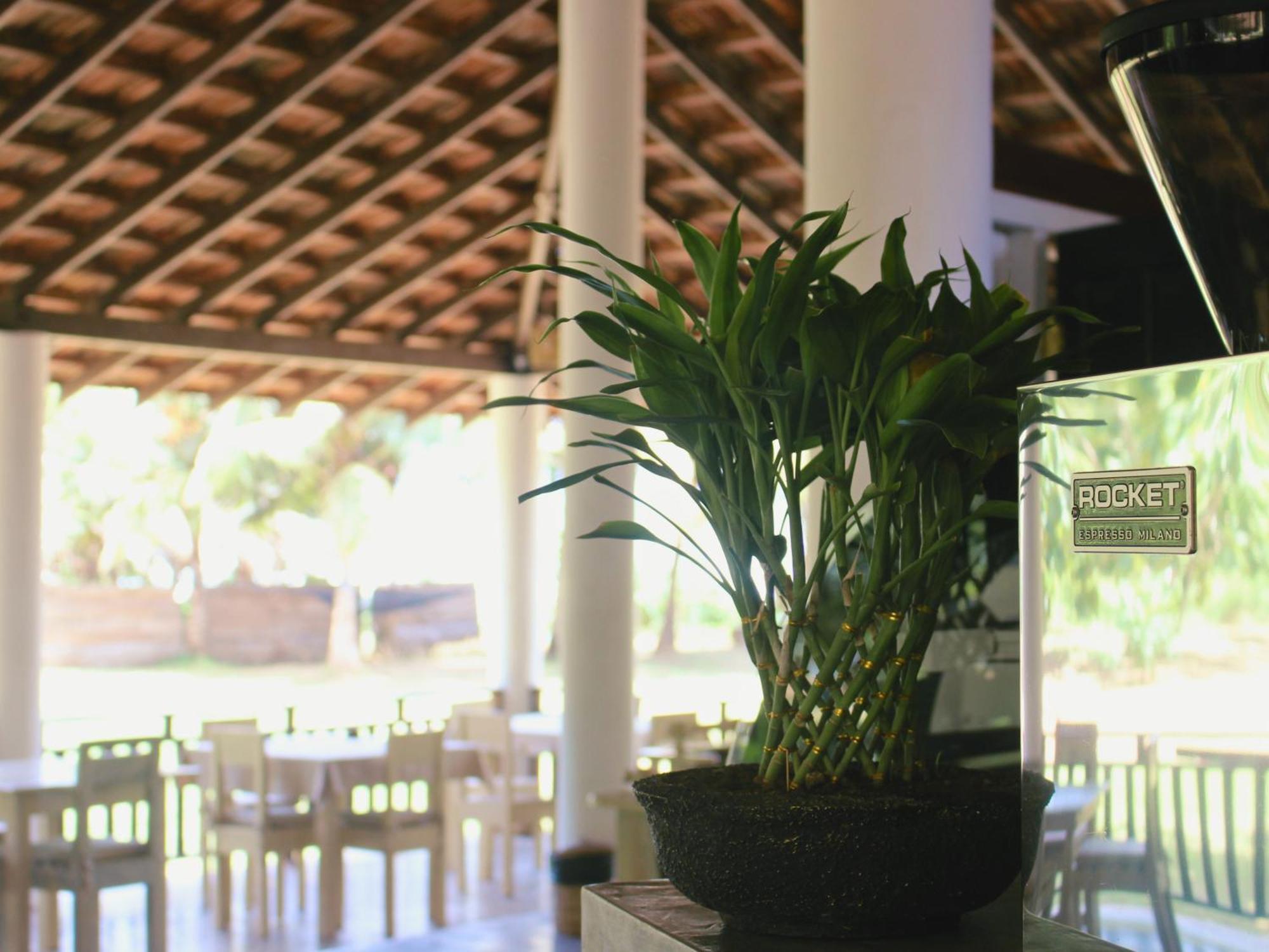 Calma - Surf, Yoga & Coffee On A Private Beach Dikwella Exterior foto