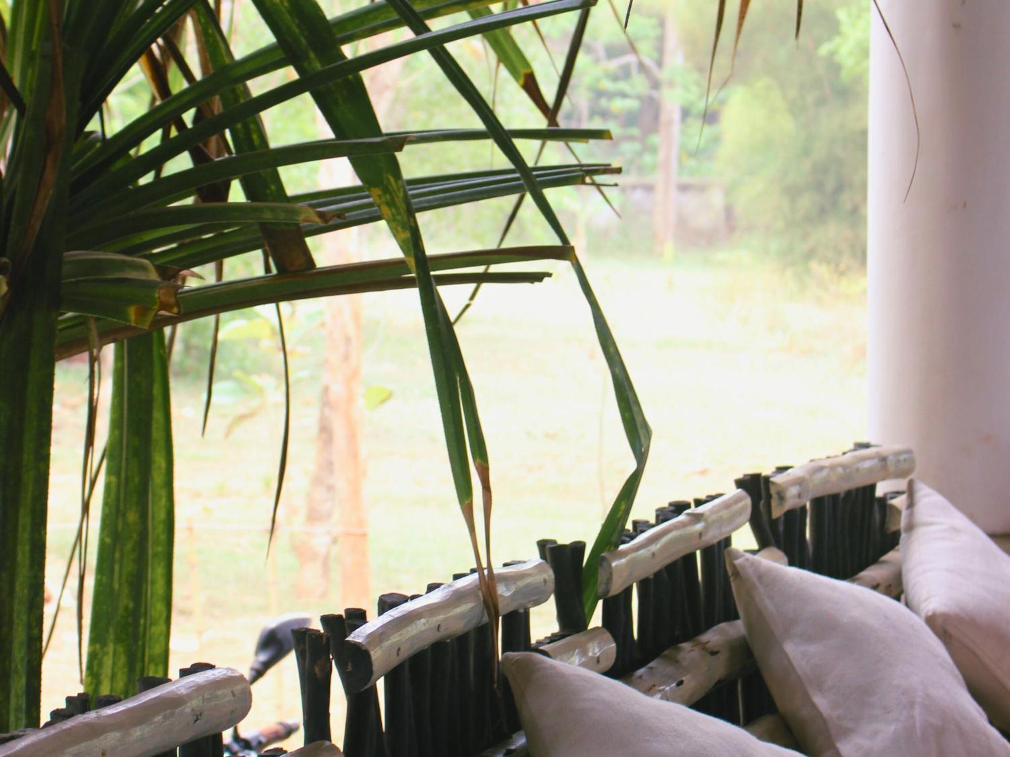 Calma - Surf, Yoga & Coffee On A Private Beach Dikwella Exterior foto